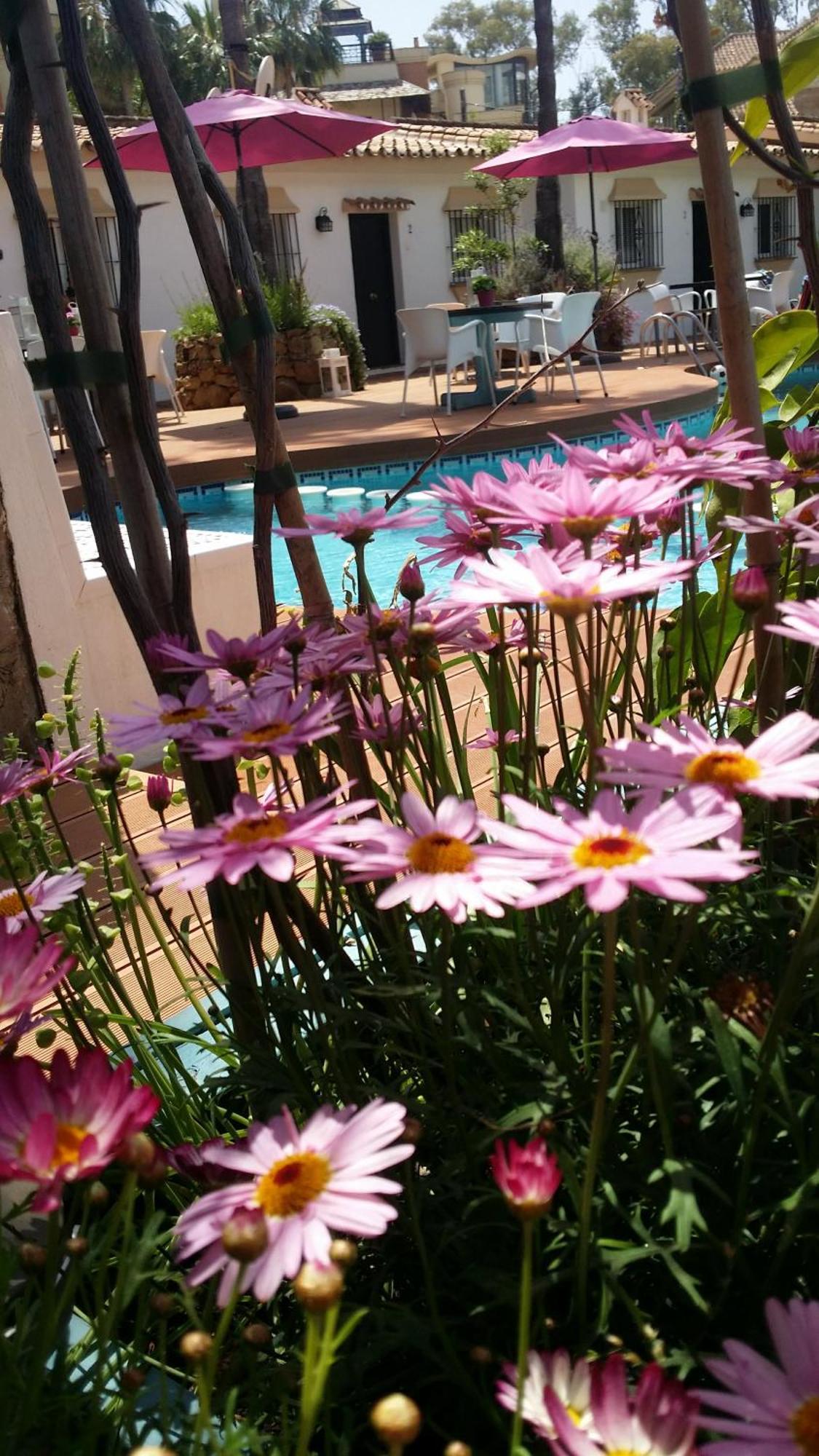 Banus Lodge Μαρμπέλλα Εξωτερικό φωτογραφία