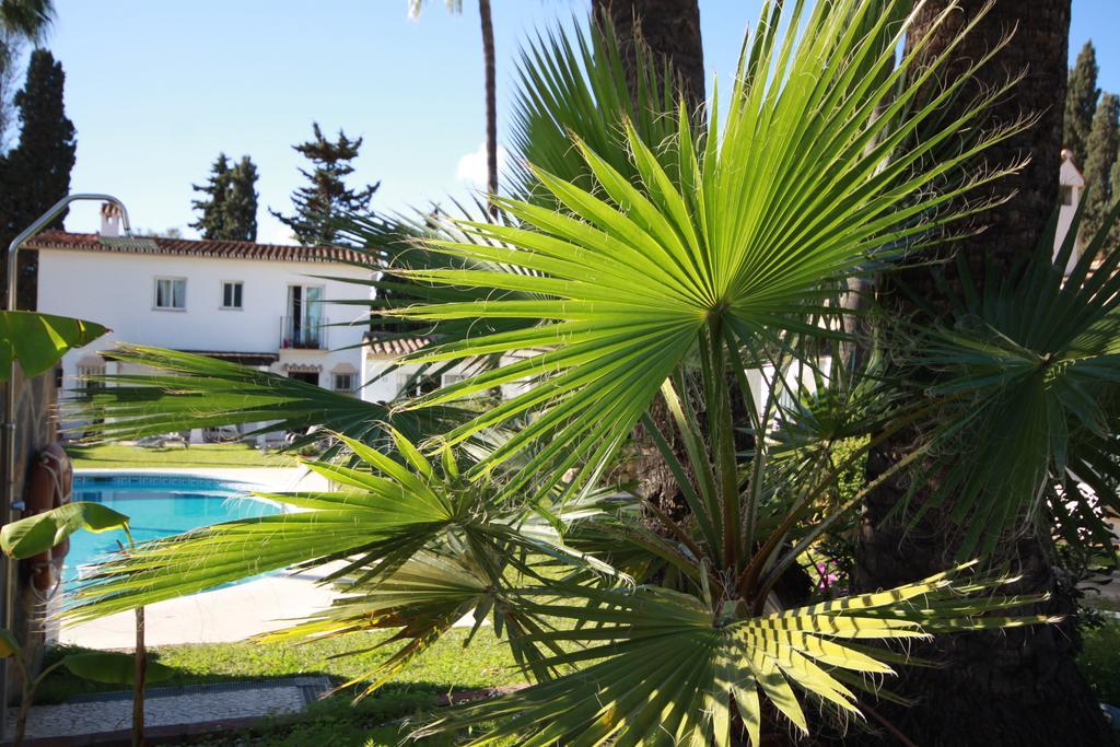 Banus Lodge Μαρμπέλλα Εξωτερικό φωτογραφία