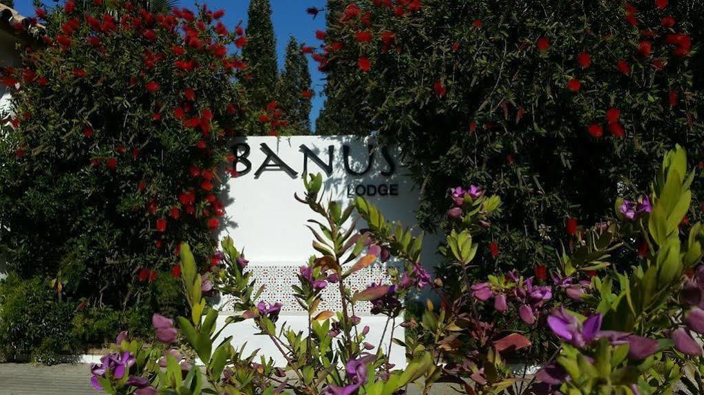 Banus Lodge Μαρμπέλλα Εξωτερικό φωτογραφία