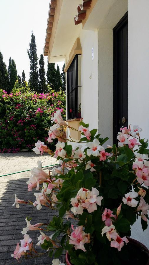 Banus Lodge Μαρμπέλλα Εξωτερικό φωτογραφία